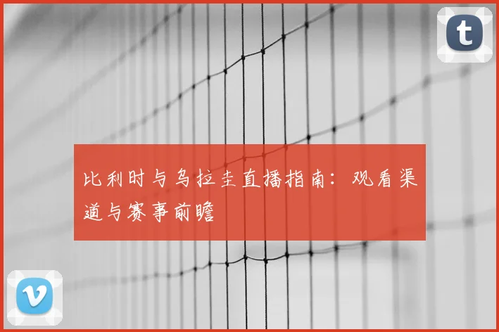比利时与乌拉圭直播指南：观看渠道与赛事前瞻