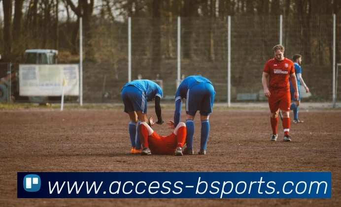 多媒体互动体验